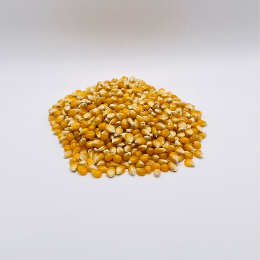 Popcorn