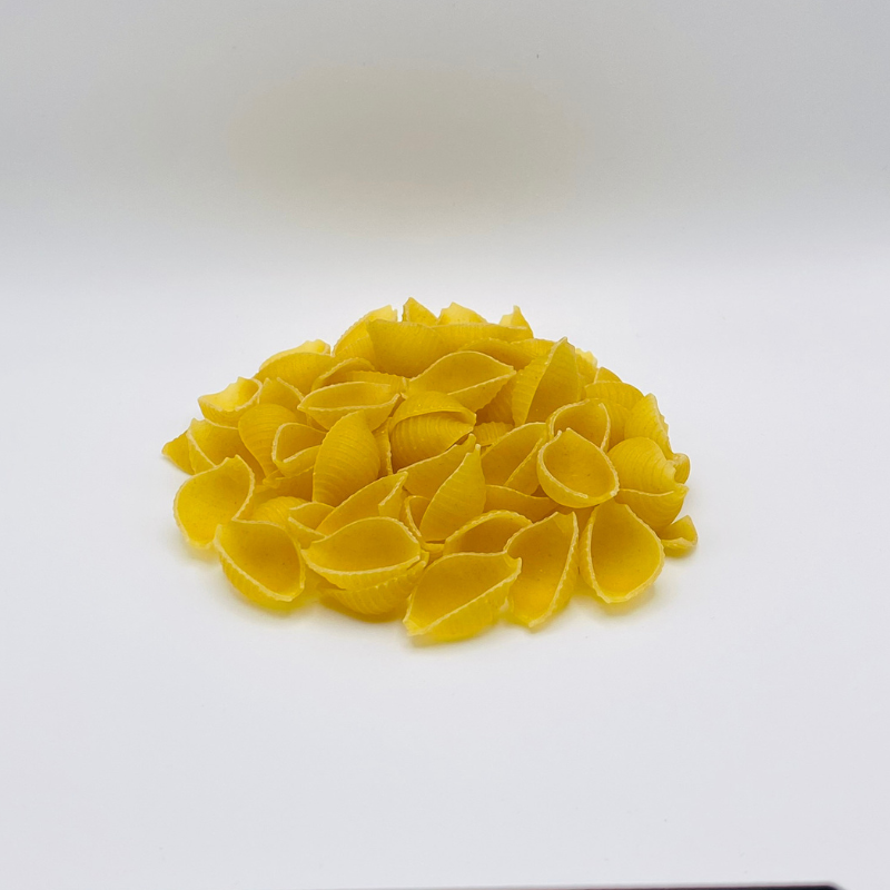Pasta Shells
